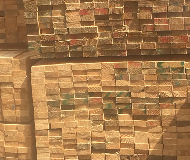 普安新西兰进口松木